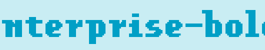 FFF-Enterprise-Bold.ttf