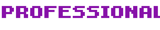 FFF-Professional-Bold-copy-1-.ttf