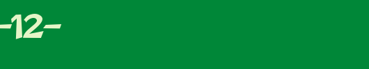 FZ-BASIC-12-.ttf