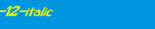 FZ-BASIC-12-ITALIC.ttf