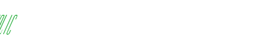 FZ-BASIC-38-ITALIC.ttf