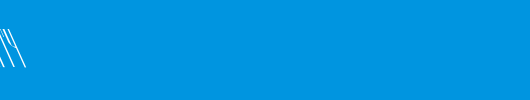 FZ-BASIC-38-LEFTY.ttf