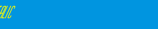 FZ-BASIC-40-ITALIC.ttf