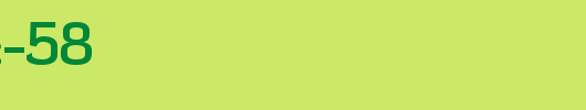 FZ-BASIC-58.ttf