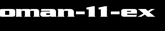 FZ-ROMAN-11-EX.ttf