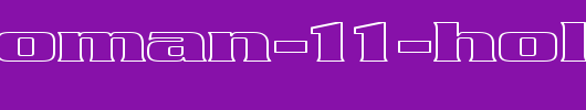 FZ-ROMAN-11-HOLLOW-EX.ttf