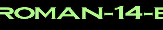 FZ-ROMAN-14-EX.ttf