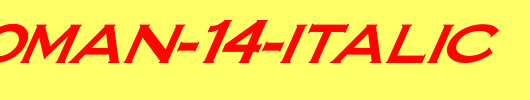 FZ-ROMAN-14-ITALIC.ttf