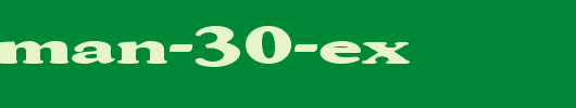 FZ-ROMAN-30-EX.ttf