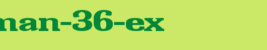 FZ-ROMAN-36-EX.ttf