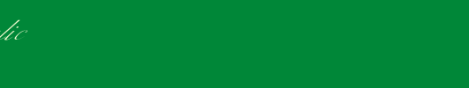 FZ-SCRIPT-1-ITALIC.ttf