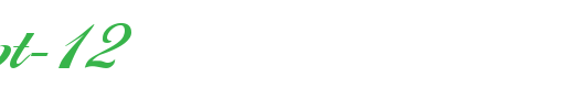 FZ-SCRIPT-12.ttf