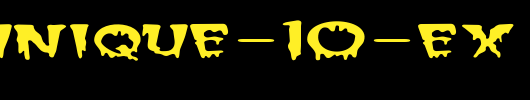 FZ-UNIQUE-10-EX.ttf