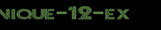 FZ-UNIQUE-12-EX.ttf
