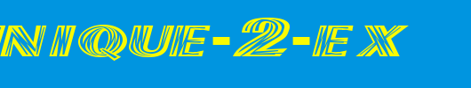FZ-UNIQUE-2-EX.ttf