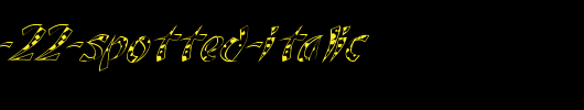 FZ-UNIQUE-22-SPOTTED-ITALIC.ttf