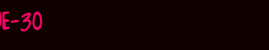 FZ-UNIQUE-30.ttf