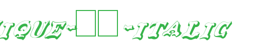 FZ-UNIQUE-37-ITALIC.ttf