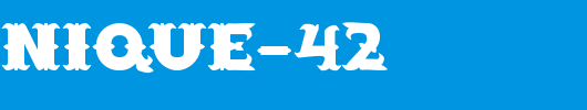 FZ-UNIQUE-42.ttf