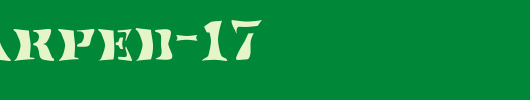 FZ-WARPED-17.ttf
