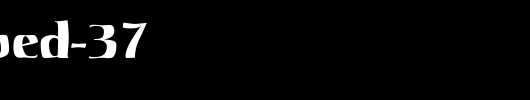 FZ-WARPED-37.ttf