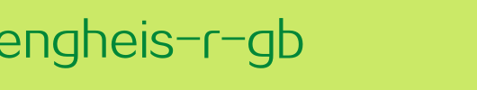 FZRuiZhengHeiS-R-GB.ttf