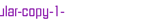 Facet-Regular-copy-1-.ttf