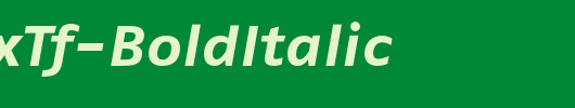 FagoExTf-BoldItalic_英文字体