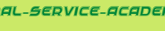 Federal-Service-Academy-Italic.ttf