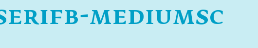 FedraSerifB-MediumSC.ttf