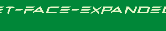 Ferret-Face-Expanded-Italic.ttf