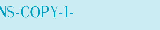Fine-Sans-copy-1-.ttf