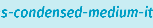 Fira-Sans-Condensed-Medium-Italic.ttf