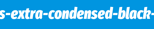 Fira-Sans-Extra-Condensed-Black-Italic.ttf