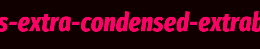 Fira-Sans-Extra-Condensed-ExtraBold-Italic.ttf