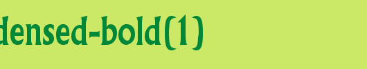 Flair-Condensed-Bold(1).ttf