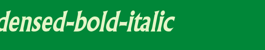 Flair-Condensed-Bold-Italic.ttf