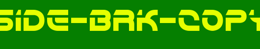 Flipside-BRK-copy-1-.ttf