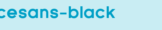Florencesans-Black.ttf
