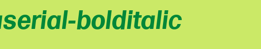 FormulaSerial-BoldItalic.ttf