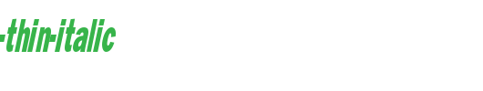 Francis-Gothic-Thin-Italic.ttf