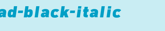Freeroad-Black-Italic.ttf