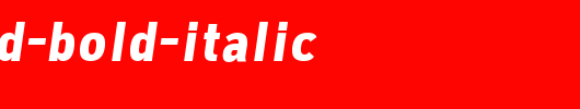 Freeroad-Bold-Italic.ttf