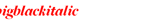 FreightBigBlackItalic.ttf