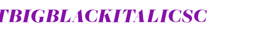 FreightBigBlackItalicSC.ttf