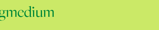 FreightBigMedium.ttf