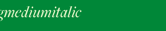 FreightBigMediumItalic.ttf