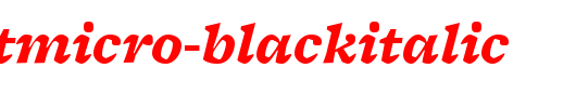 FreightMicro-BlackItalic.ttf