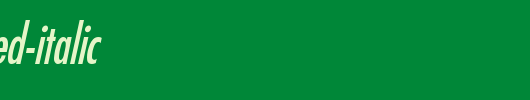 Fuji-Condensed-Italic.ttf