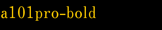 日本外字集字体系列FutoMinA101Pro-Bold.otf